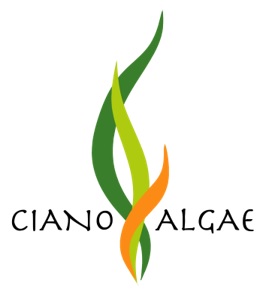 Cianoalgae