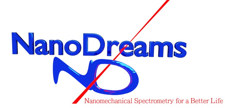 Nanodreams