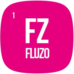 Fluzo Studios
