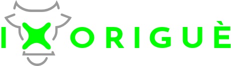 Ixorigué Technologies