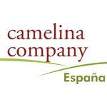 CCE - Camelina Company España