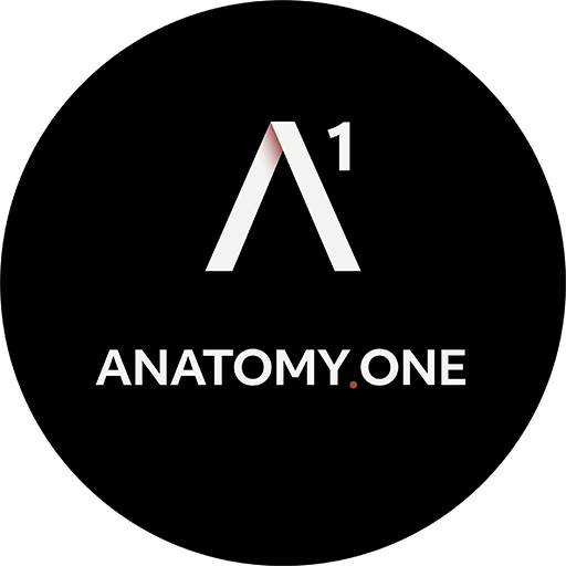 Anatomy.One