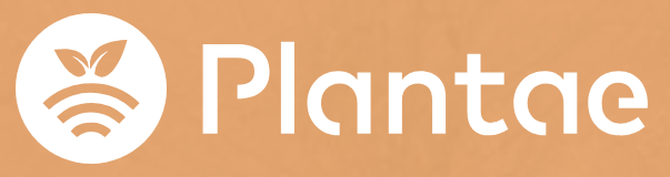 Plantae