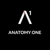 Anatomy.One (anatomy)