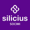 Silicius