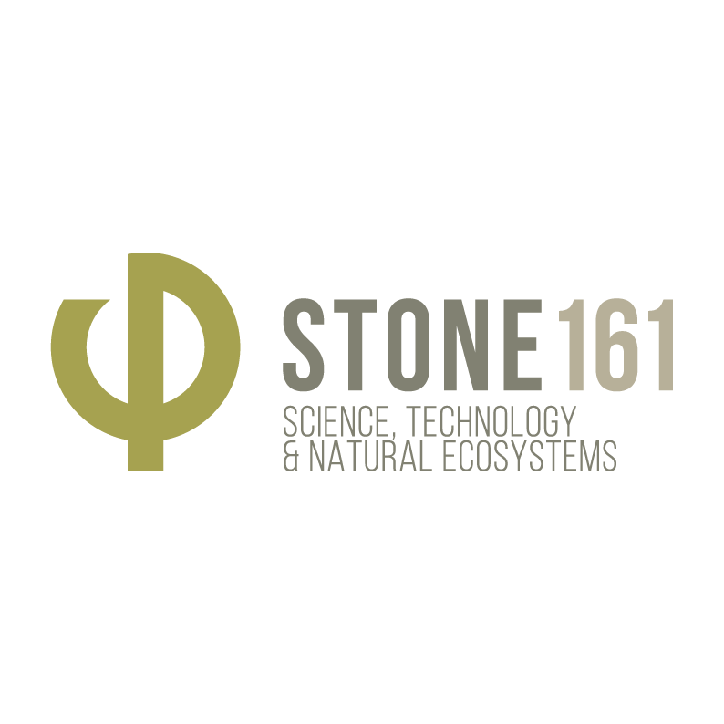 STONE161