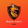 Wayner Esports